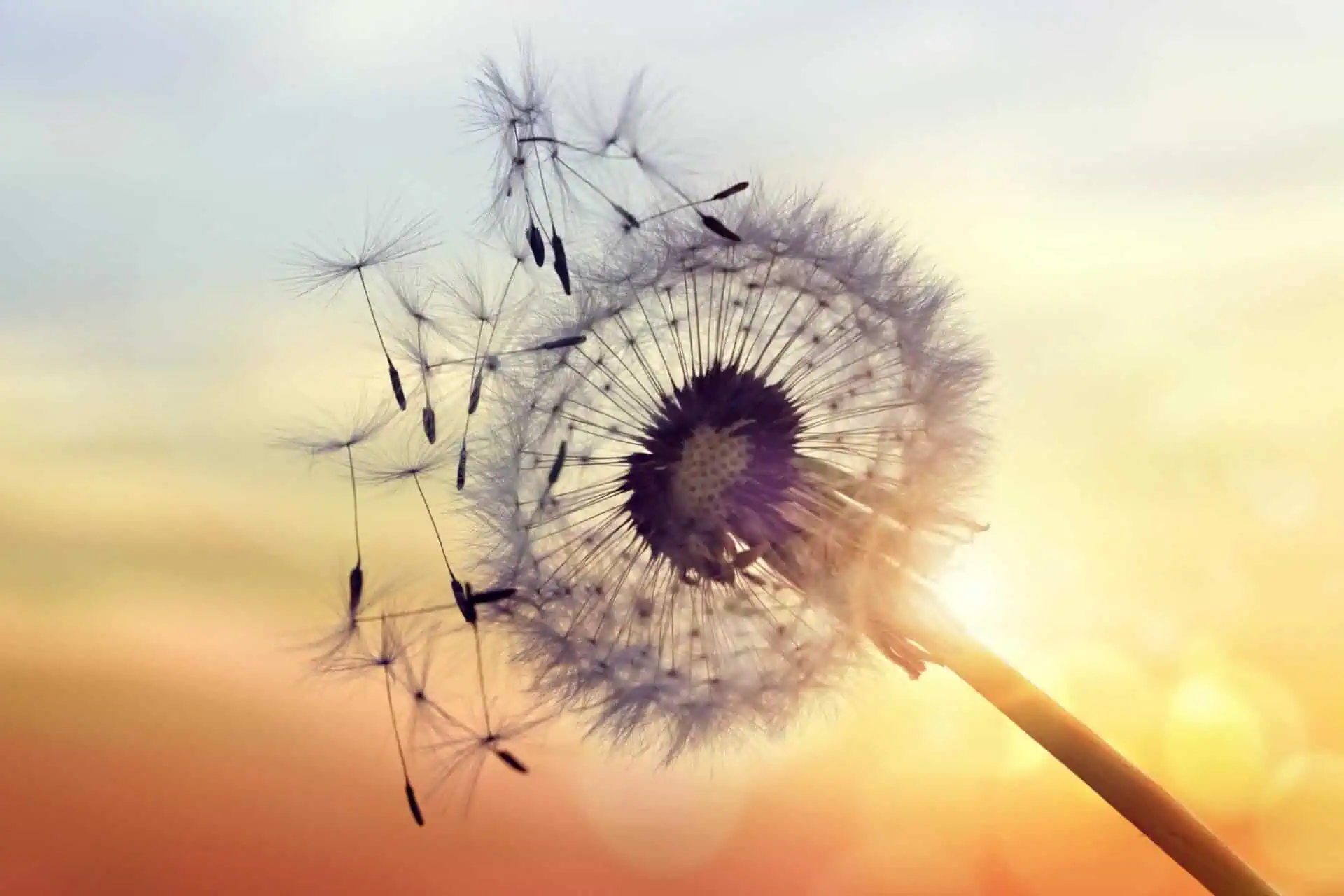 Keep It Real Episode 21: Natural Remedies To Help Allergies