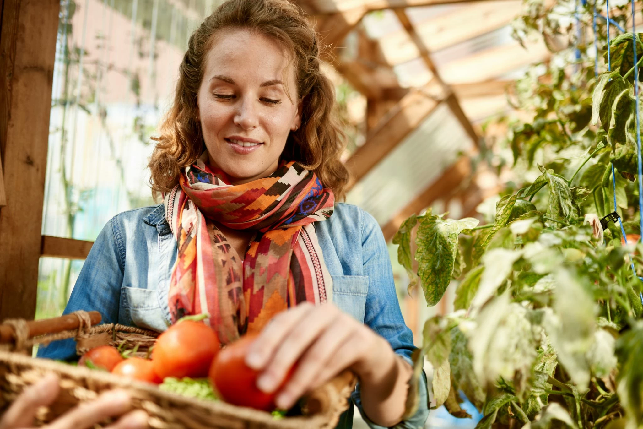 The Meaning of Real Health