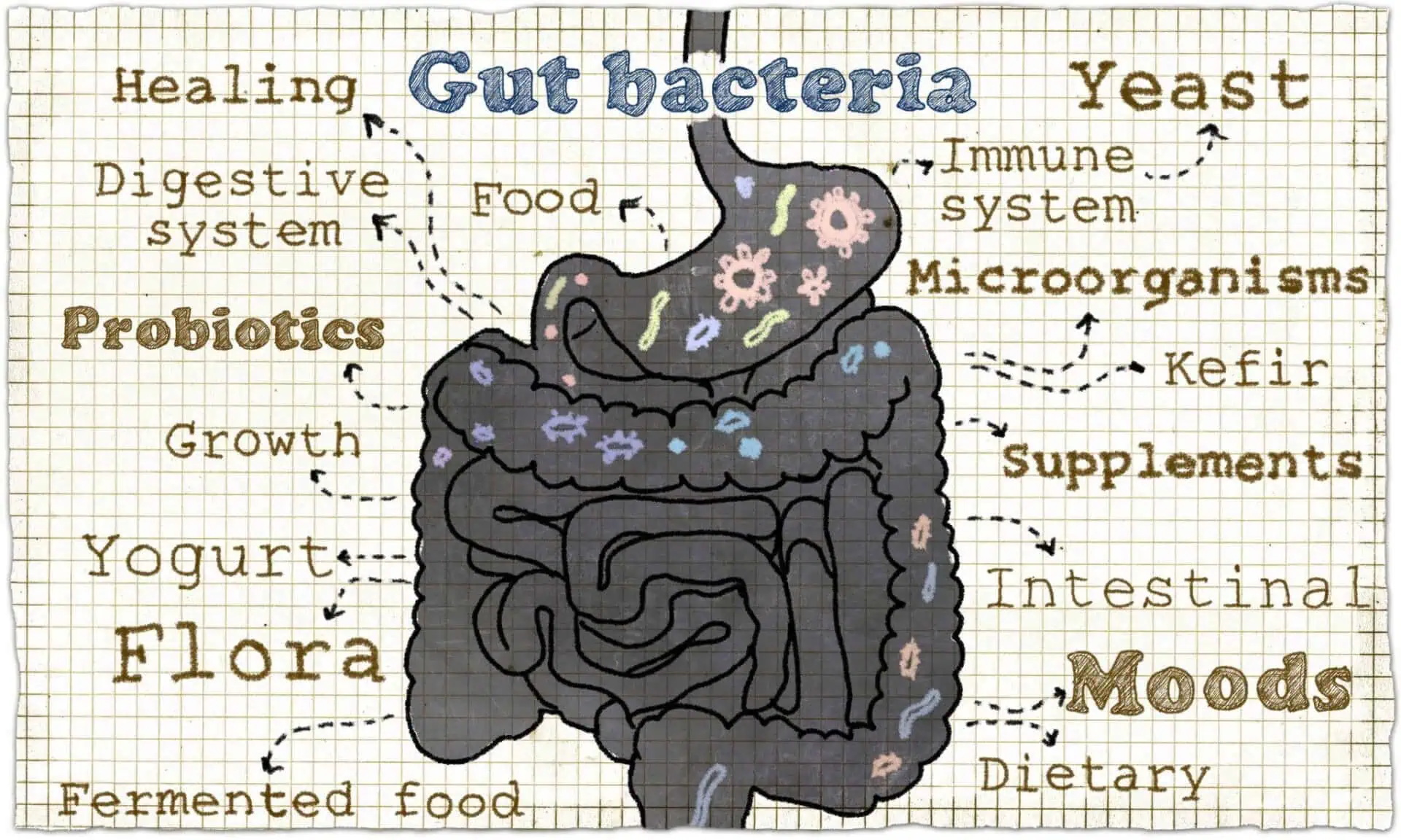 Keep It Real Episode 15: Inflammation & Your Microbiome