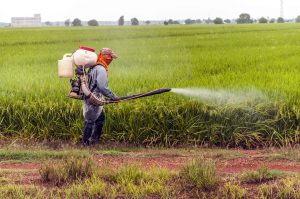 Facts About Pesticides