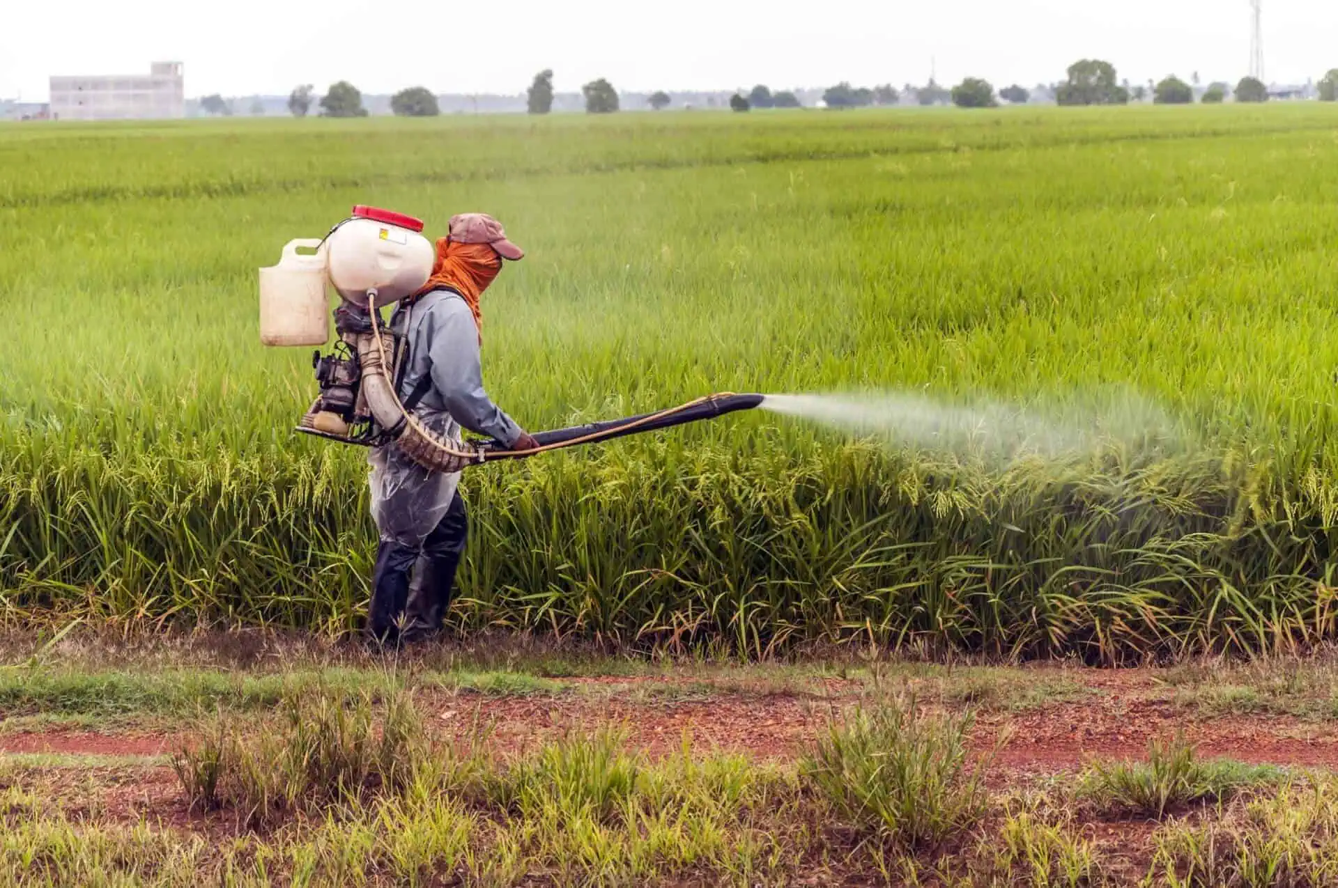 Keep It Real Episode 17: How Pesticides & The Environment Affect Your Brain