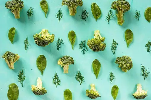 Body Detoxification