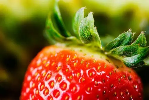 Introducing The Nastiest Fruit In The World!
