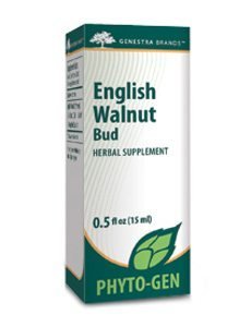 English Walnut Bud by Genestra
