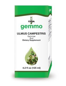 Ulmus Campestris by Unda