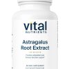 Astragalus Root Extract Vital Nutrients