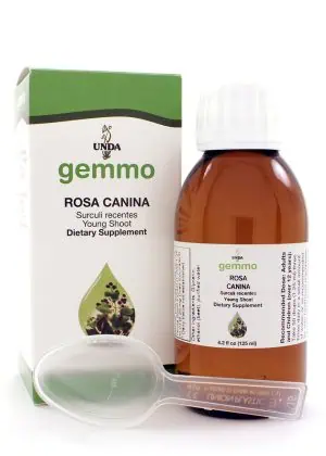 UNDA Dog Rose Gemmo - A Gemmotherapy extract of Dog Rose (Rosa canina) young shoots for homeopathic support.