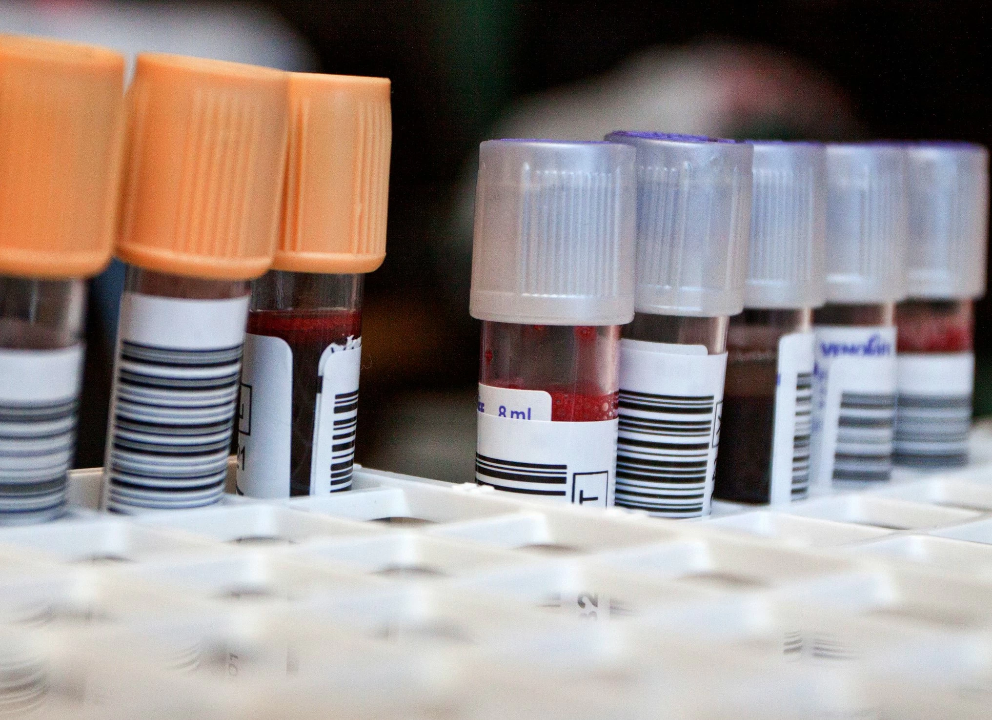 Laboratory Testing