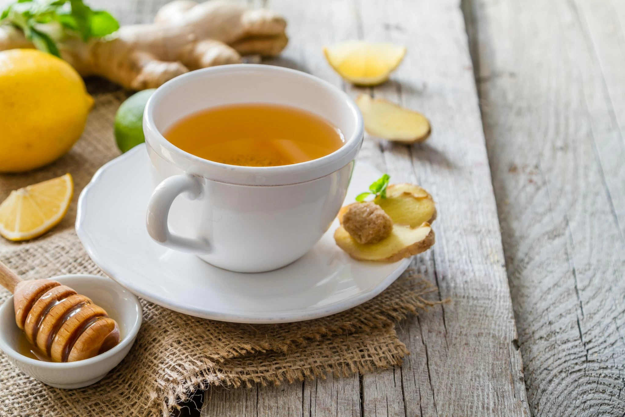 Immune Support
