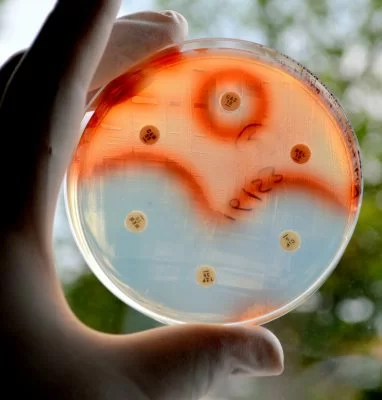 Antibiotic Resistant Bacteria