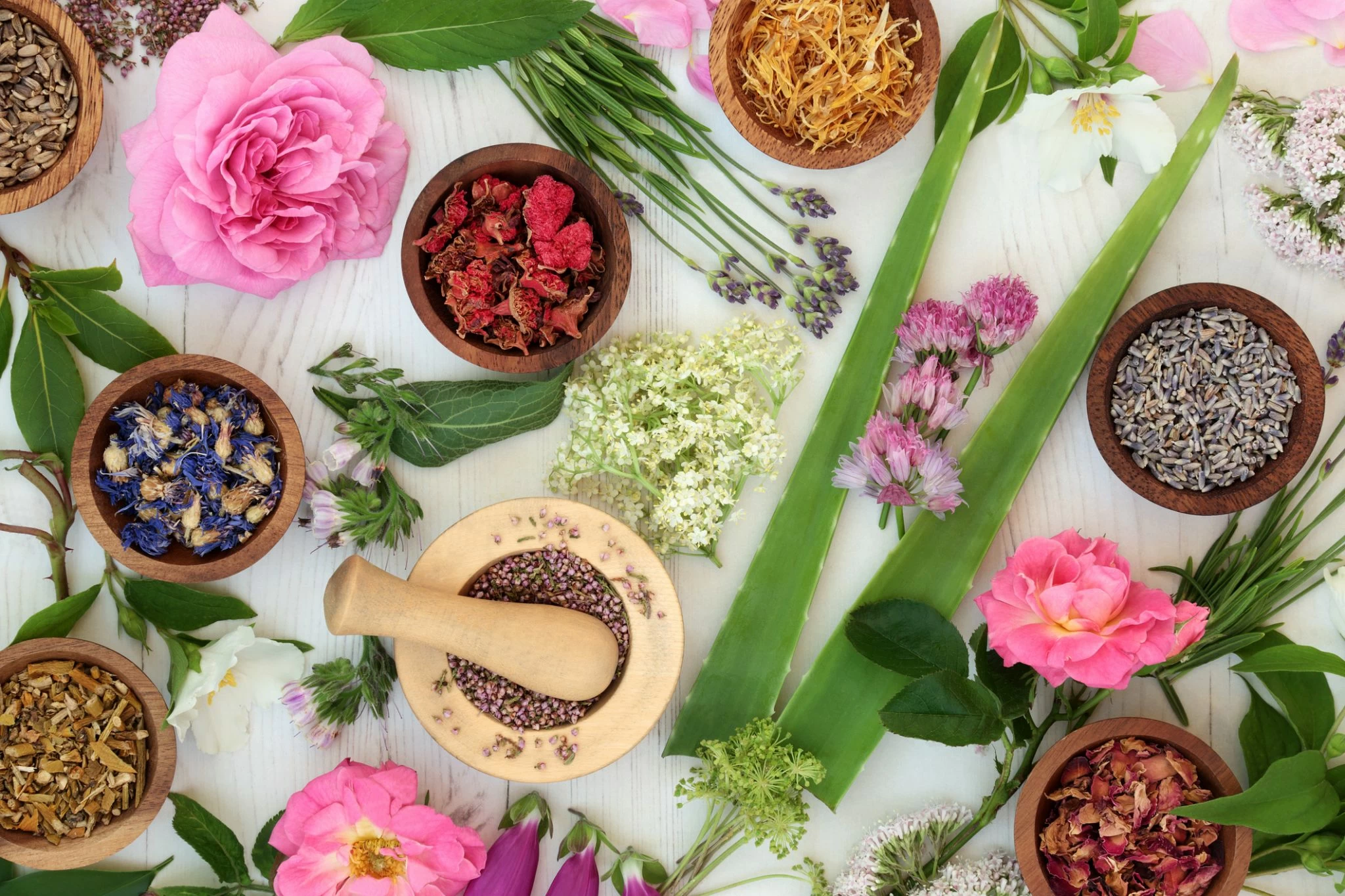 Herbs & Botanicals
