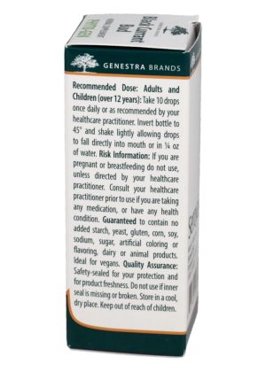Genestra Black Currant Bud -- black currant extract, immune support