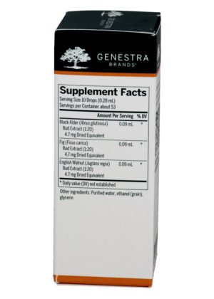 Alternative view of Digest-gen