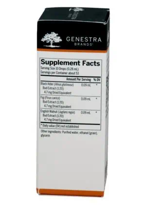 Alternative view of Digest-gen