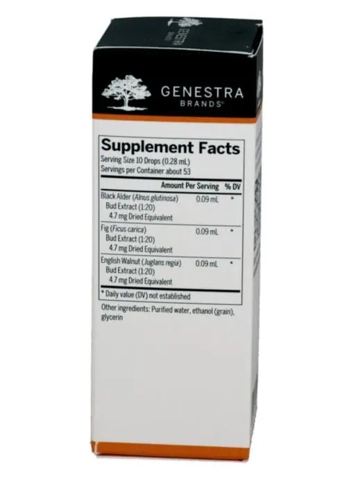 Digest-gen - Image 2