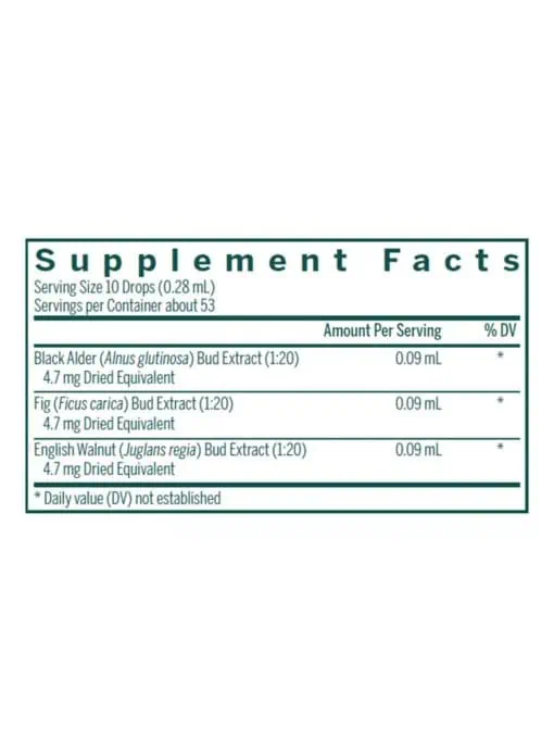 Digest-gen - Image 3