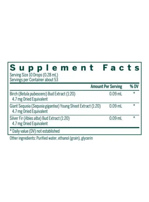 Bn-gen (formerly Bone-gen) - Image 3