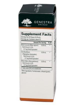 Alternative view of Vrl-gen