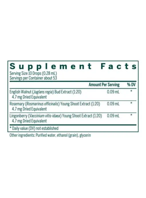 Intest-gen - Image 3