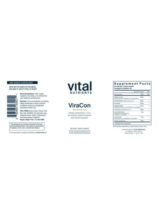 ViraCon - Image 2