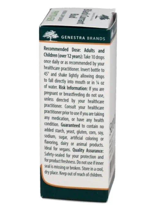 Black Currant Bud - Image 3