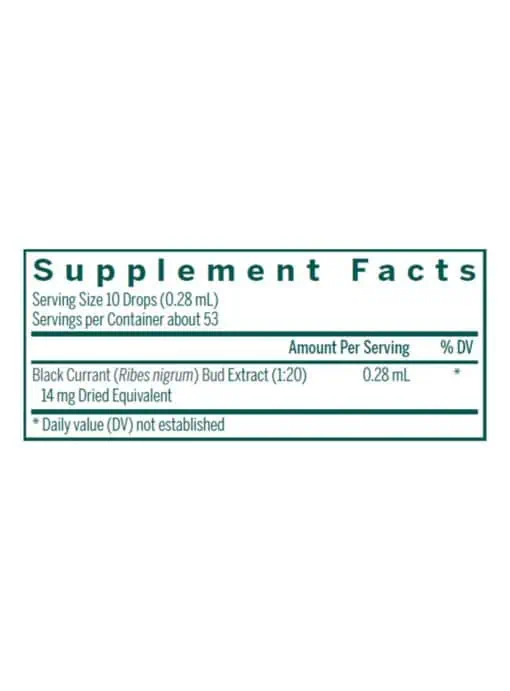 Black Currant Bud - Image 4