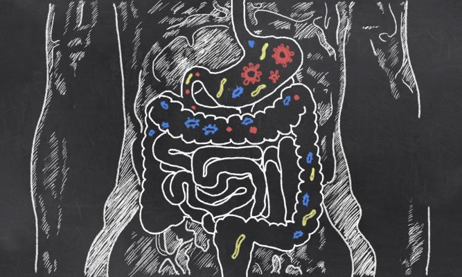 What is leaky gut?