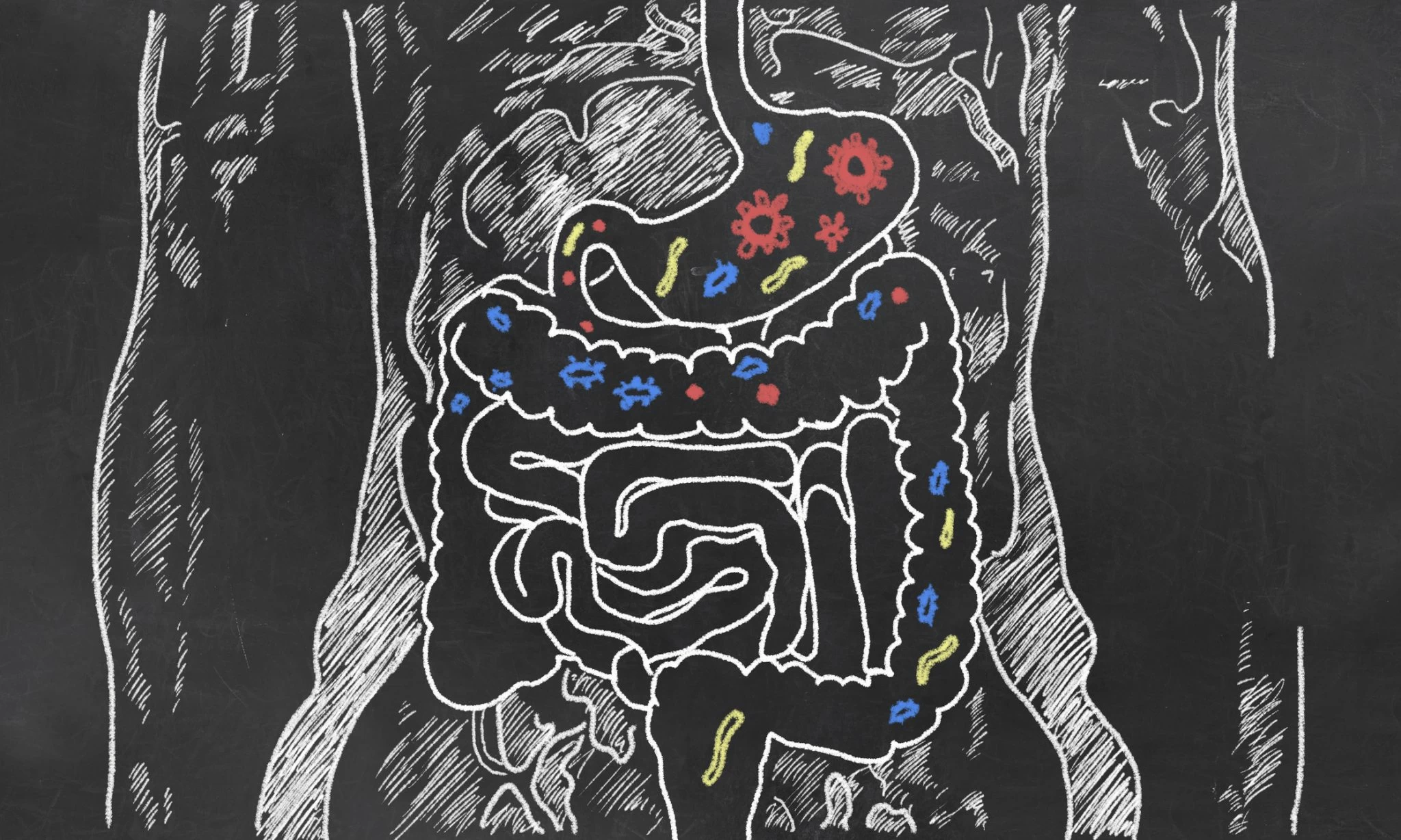 What Is Leaky Gut & How You Can Fix It