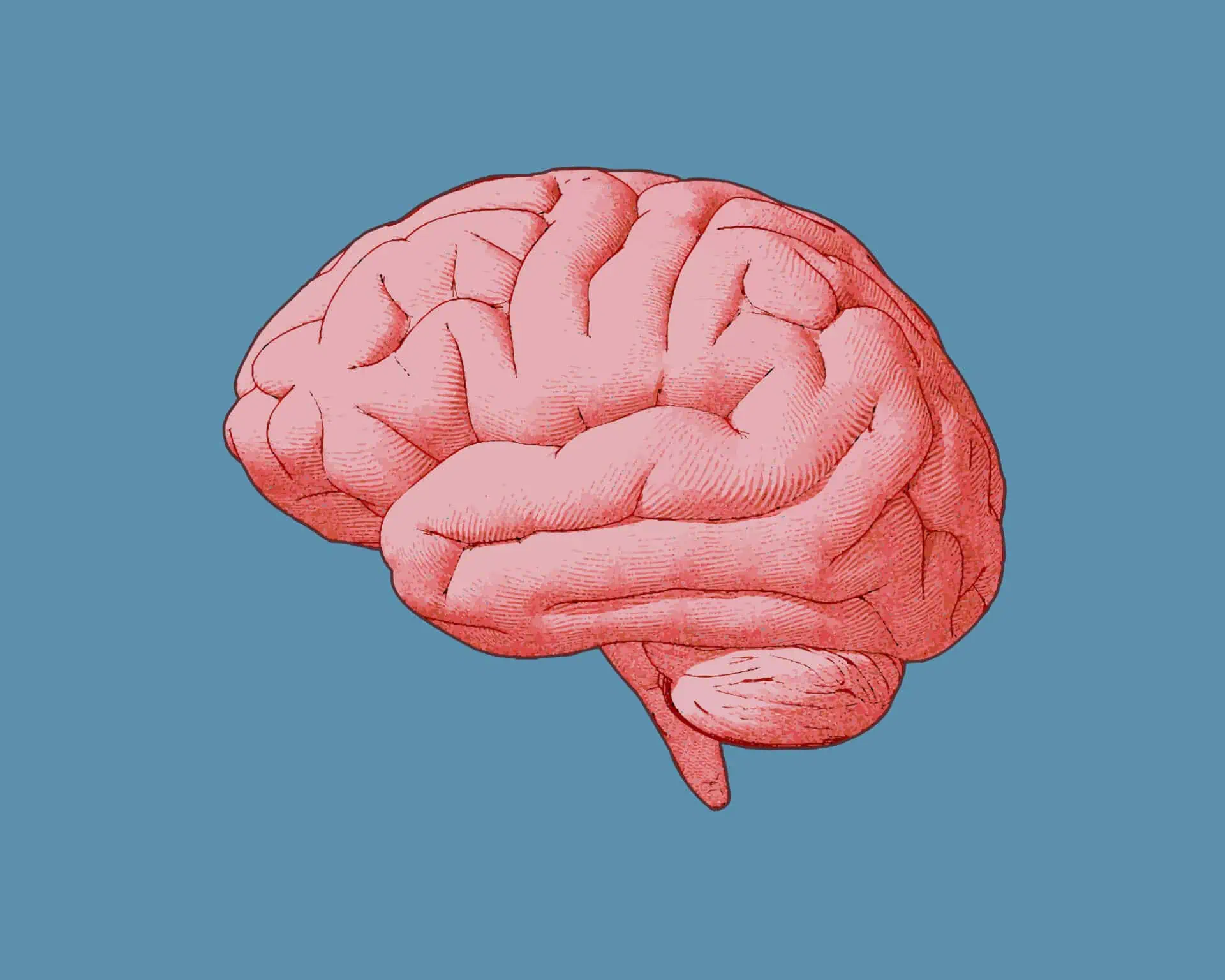Do Probiotics Rule Your Brain?