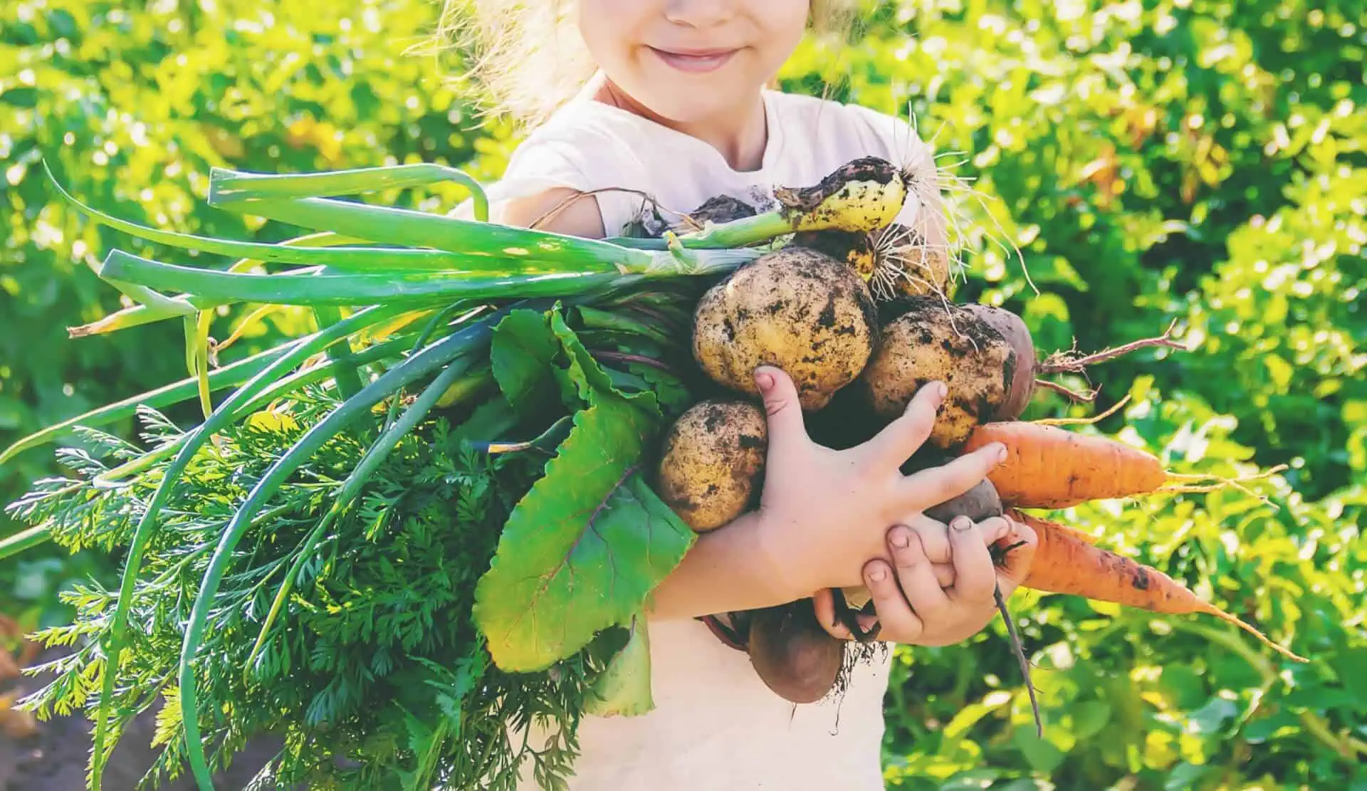 Is Your Greens Drink Supporting U.S. Organic Farmers?