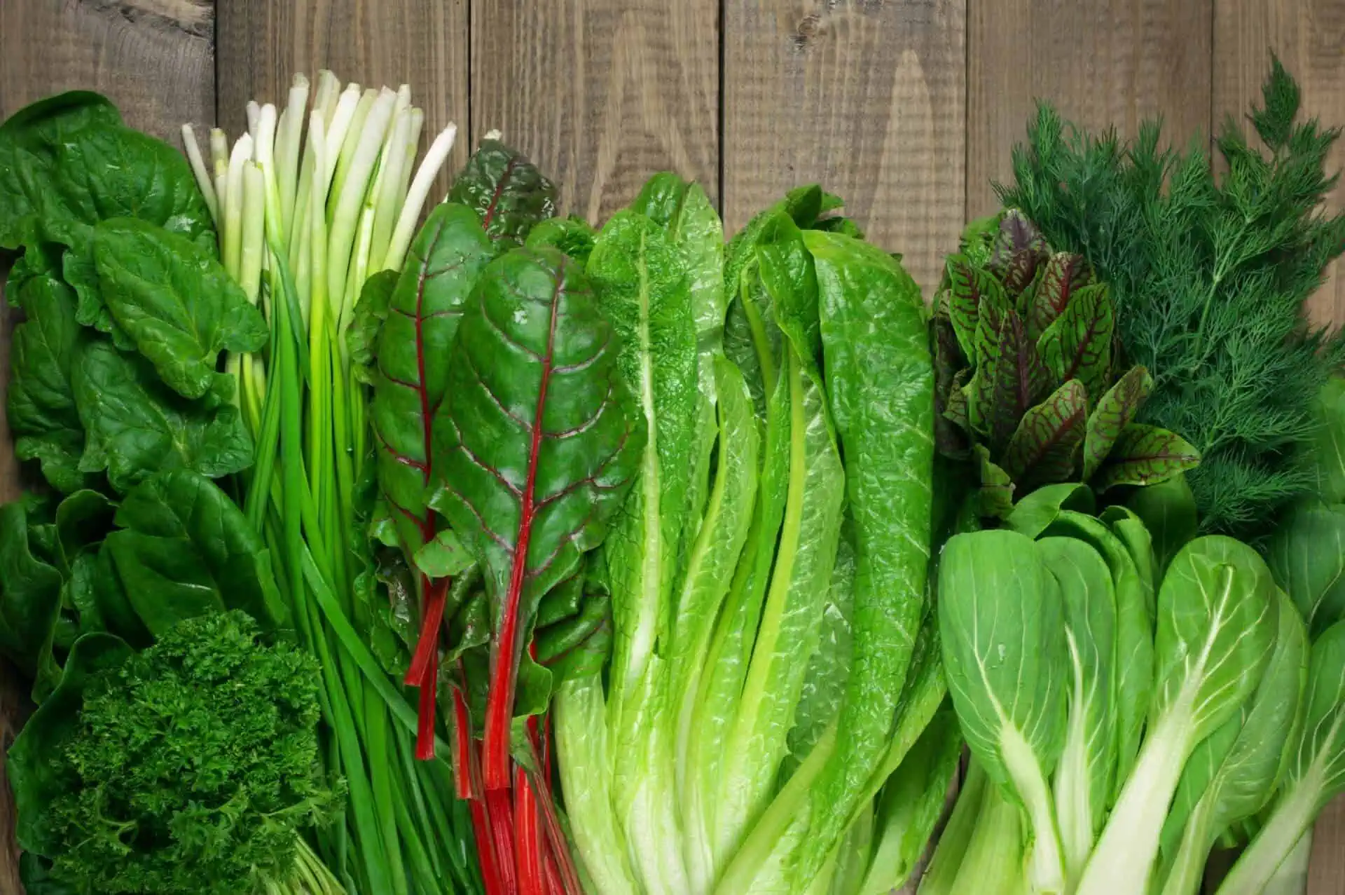 Phytonutrients: A Key Component for Immune Health