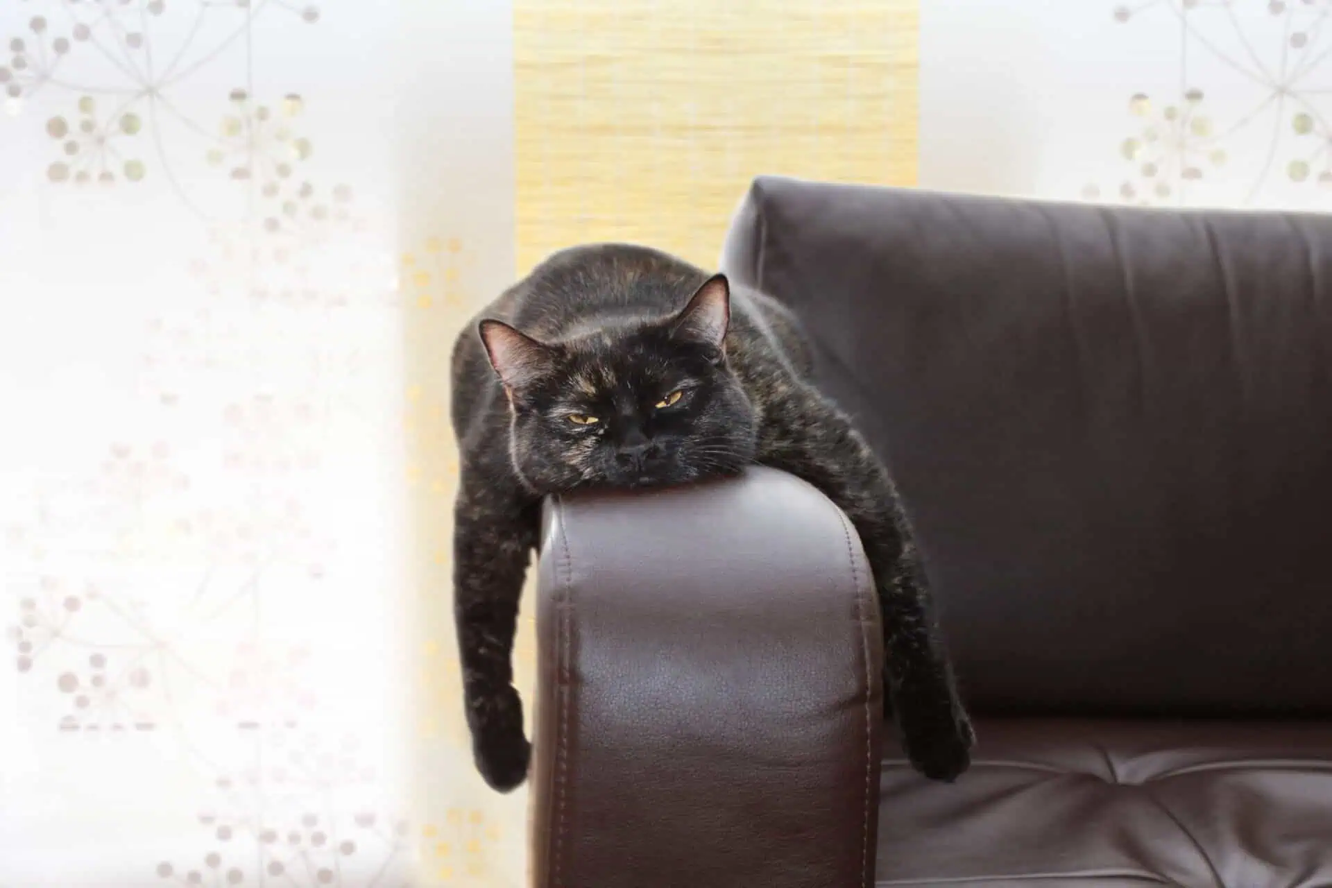Your Stress Levels Are Higher Than Ever – Here’s Something You Can Do About It