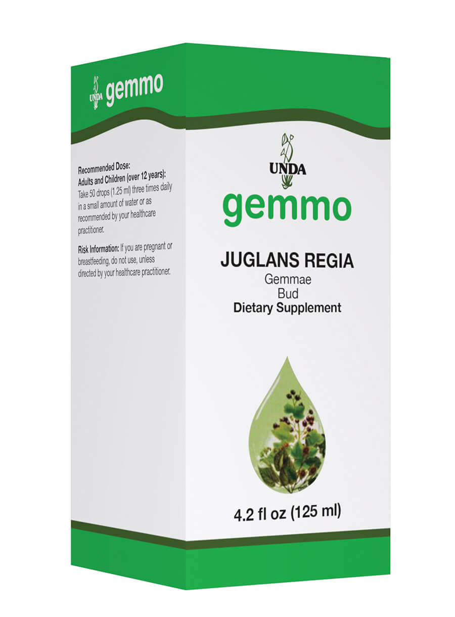Juglans Regia Gemmae bud 16510-125U_RGB