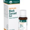 black currant bud by Genestra