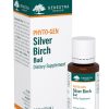 Silver Birch Bud by Genestra