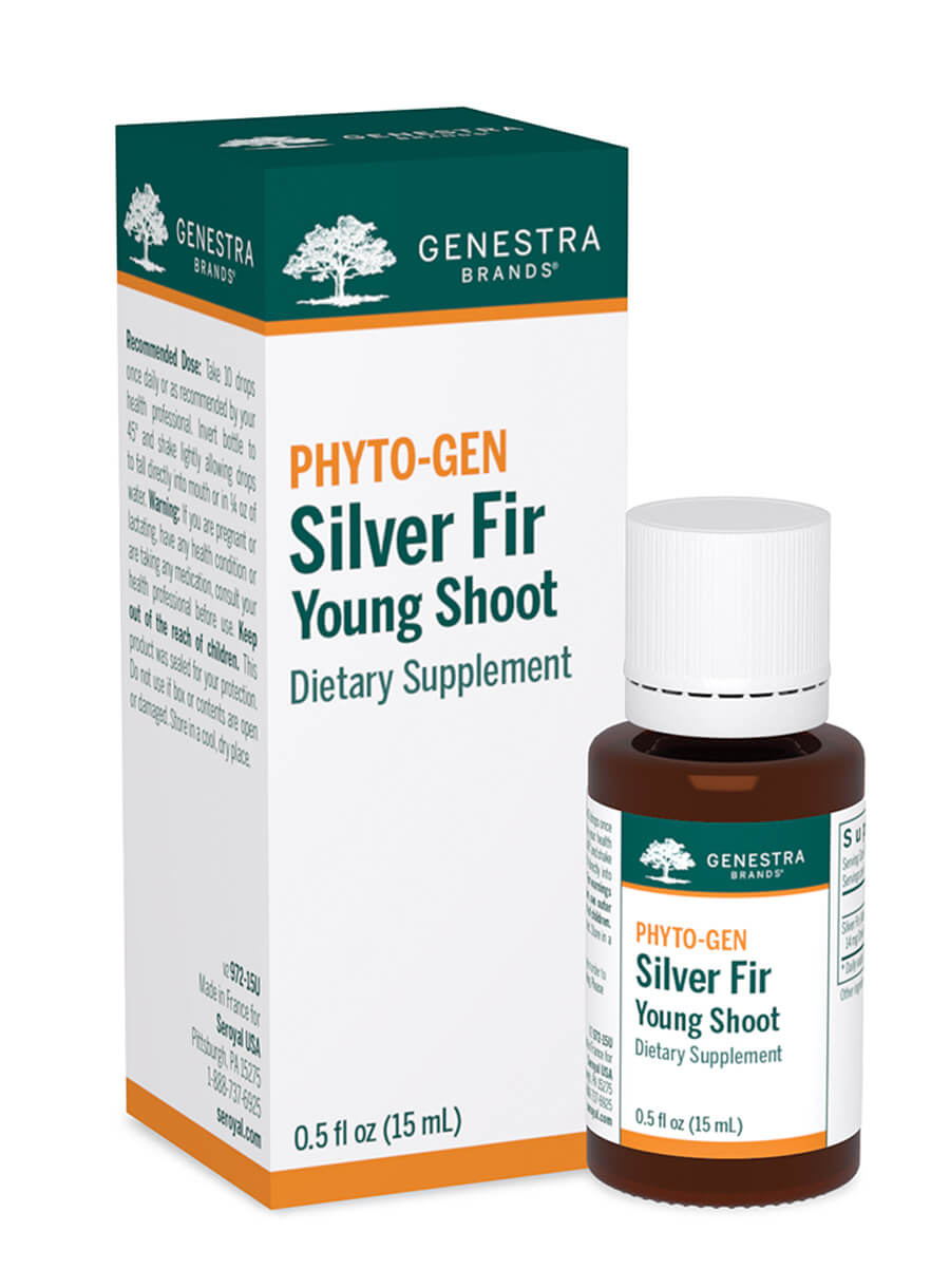 Silver Fir Young Shoot by Genestra