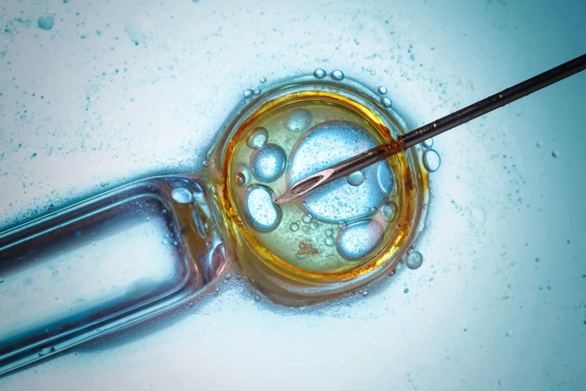 Women’s Fertility and Lab Testing – What You Need to Know