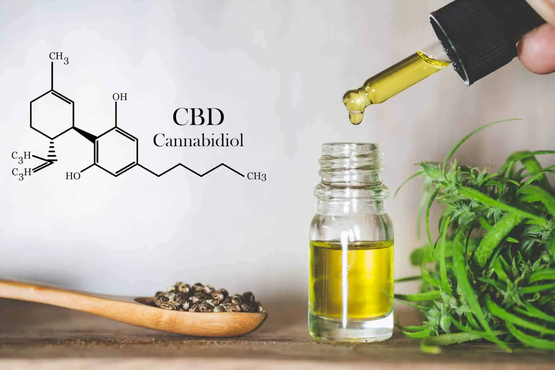 Exploring the Intricacies of CBD and its Interaction with the Body