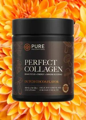 Cocoa Flavored Perfect Collagen against an opened flower.