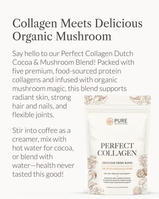 Collagen Meets Delicious Organic Mushroom