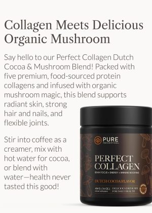 Collagen Meets Delicious Organic Mushroom