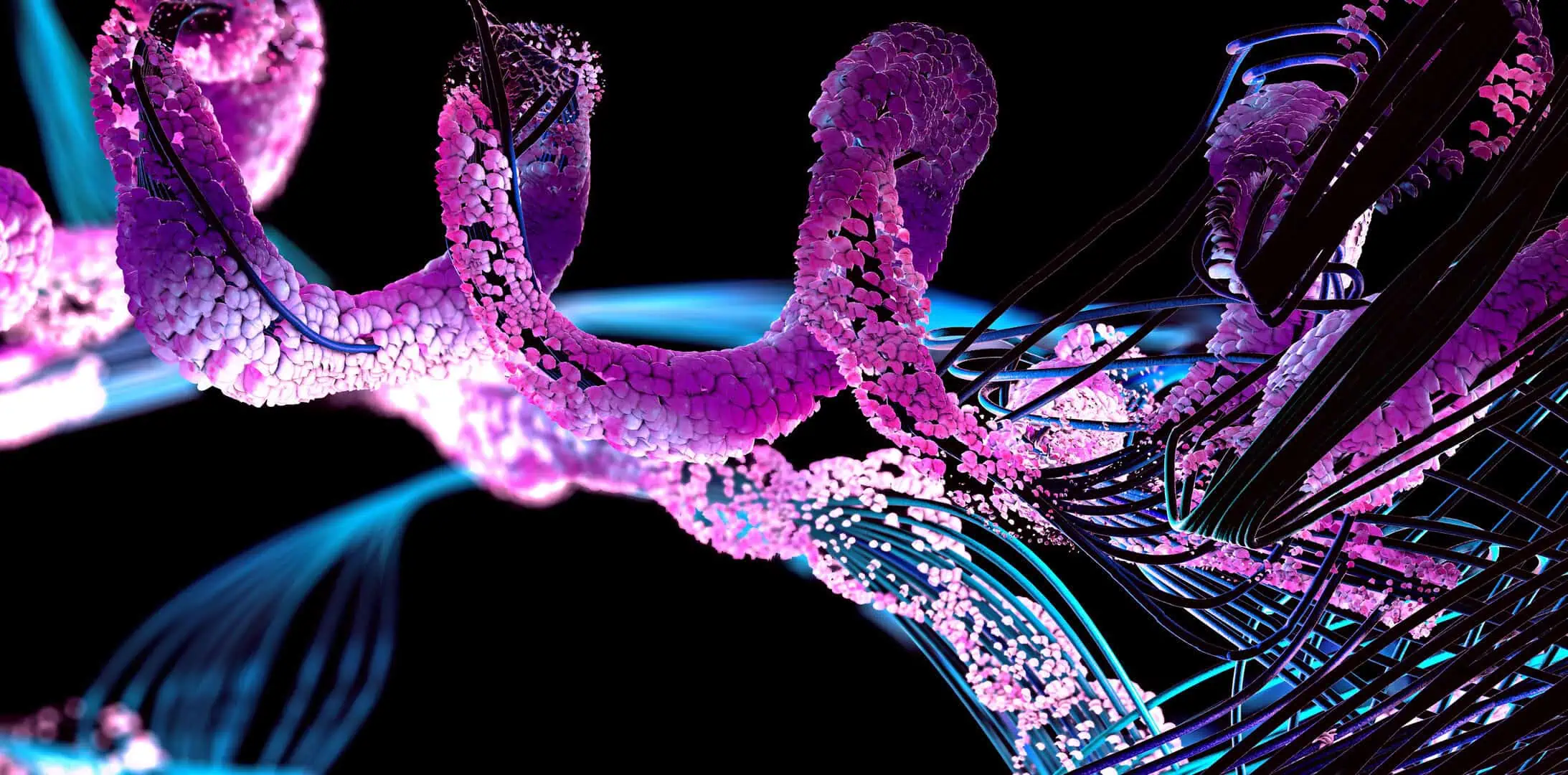 Exploring the World of Peptides for Health