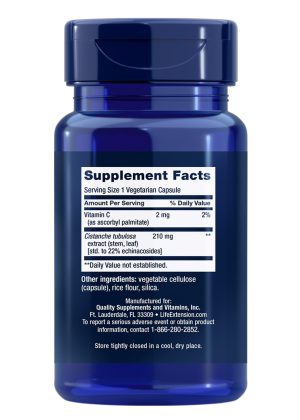 Standardized Cistanche Powerful support against immune senescence