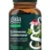 Echinacea Goldenseal - A blend of Echinacea, Goldenseal, and St. John's Wort for immune and respiratory health.