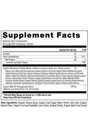 Om Master Blend Mushroom Gummies (Strawberry) - 10-mushroom blend gummies for immune and stress support.