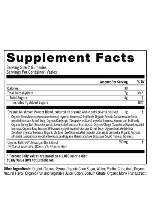 Om Master Blend Mushroom Gummies (Strawberry) - 10-mushroom blend gummies for immune and stress support.