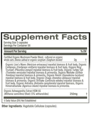 Om Mushroom Master Blend Powder - Comprehensive 10-mushroom and botanical supplement for holistic health.