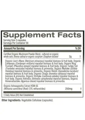 Om Mushroom Master Blend Powder - Comprehensive 10-mushroom and botanical supplement for holistic health.