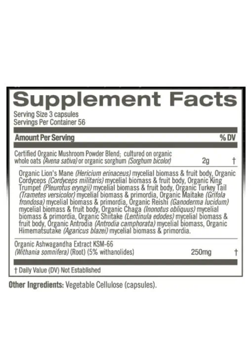 Om Mushroom Master Blend Powder - Comprehensive 10-mushroom and botanical supplement for holistic health.