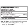 Pycnogenol 50mg - Patented French maritime pine bark extract for vascular and connective tissue support.